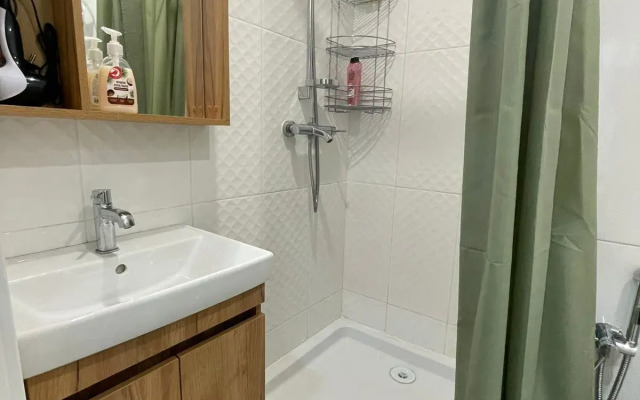 Апартаменты на Ольминского 307