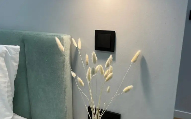Apartment with parking in the center of St. Petersburg