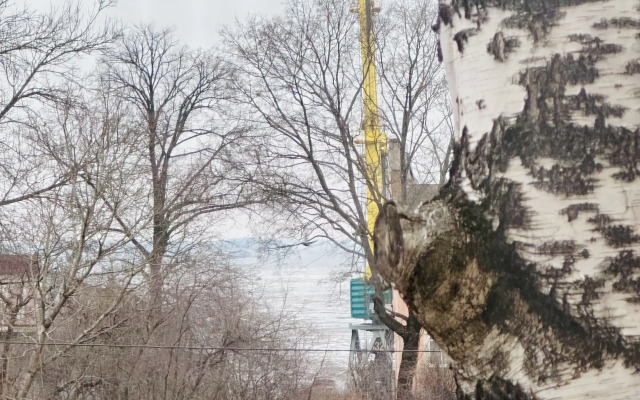 Квартира Daily Apart