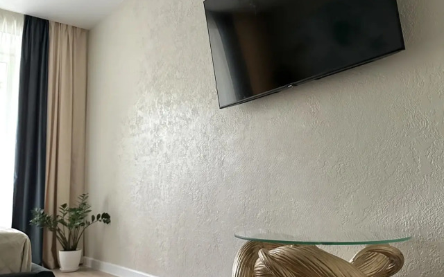 Квартира в историческом центре, Собинова 50к2