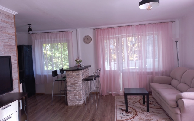 Апартаменты Уютные апартаменты в центре города