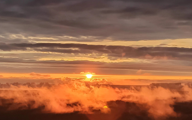 Квартира на 25 этаже с видом на лес