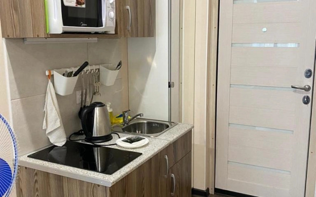 Апартаменты Студия на Марата 77