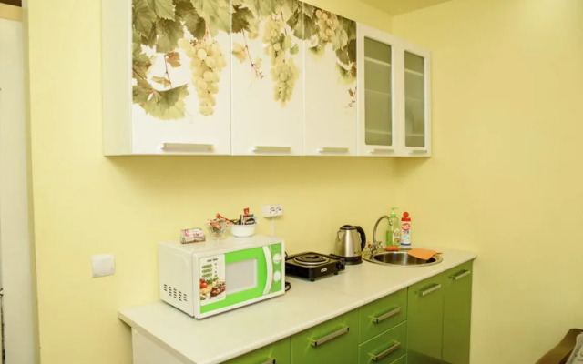 Апартаменты на Емельянова 35а (1)