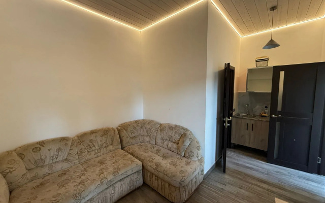 Частный дом студия Junglе