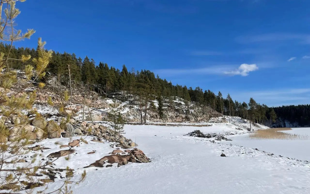 Частный дом Домики Ихоярви на озере (дом 3)