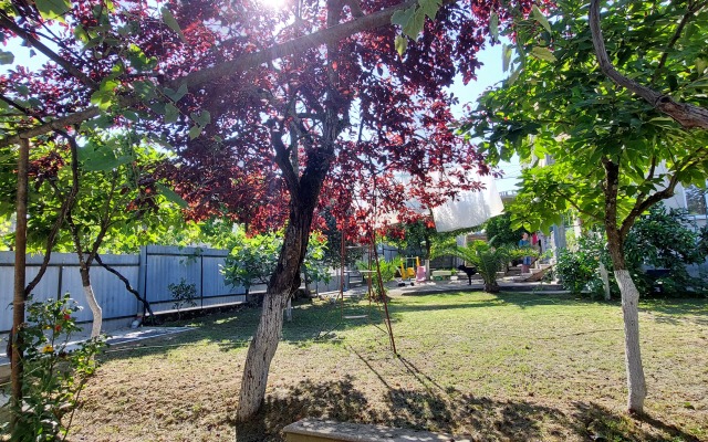 Kemal Private House