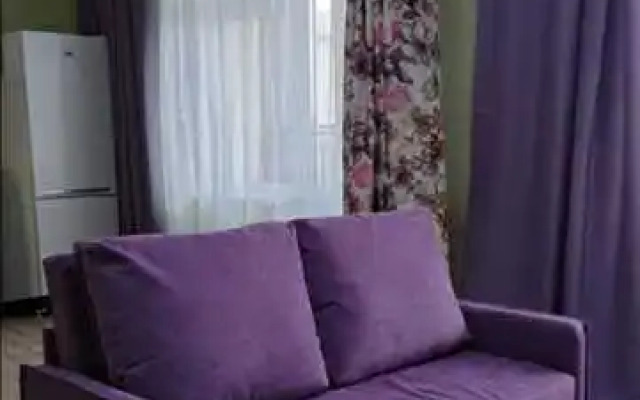 Flat Uyutnaya Studiya V Solnechnom