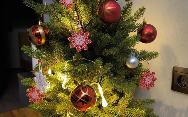 RentalSPb Redlake Красное Озеро