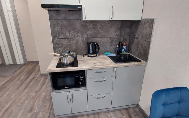 Sv Shveynikov studiya 1 Apartments