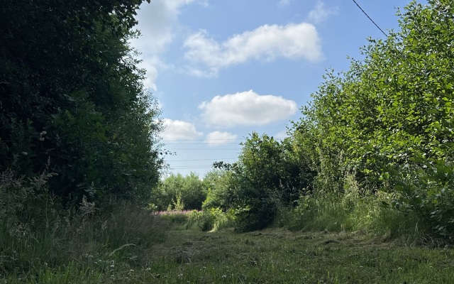 Гостевой дом Warnicken