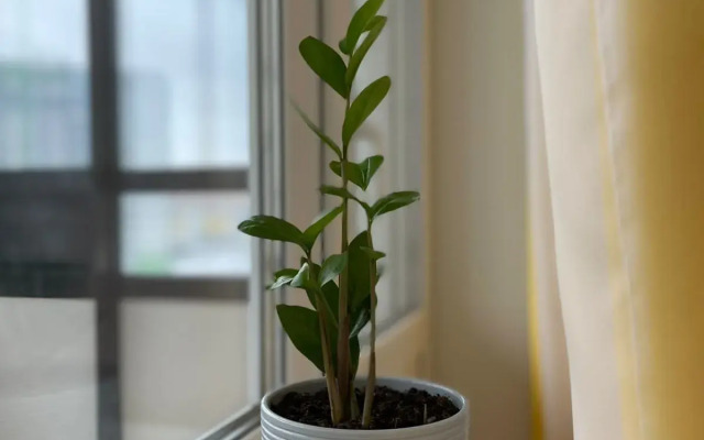 Квартира Уютная Просторная