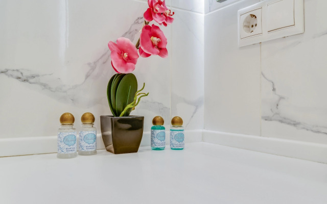 Апартаменты Улучшенные с Видом на Город Business Apartments