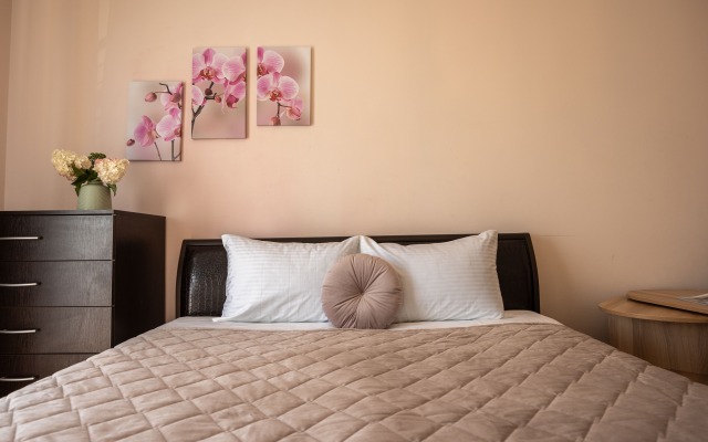 LovelyHome39 na Dadaeva Apartments