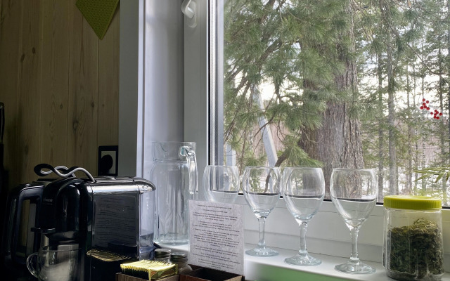 Частный дом уютный барн Green House