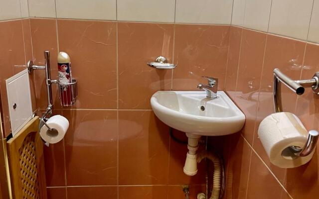 Semeynaya Na Nevskom Prospekte Flat