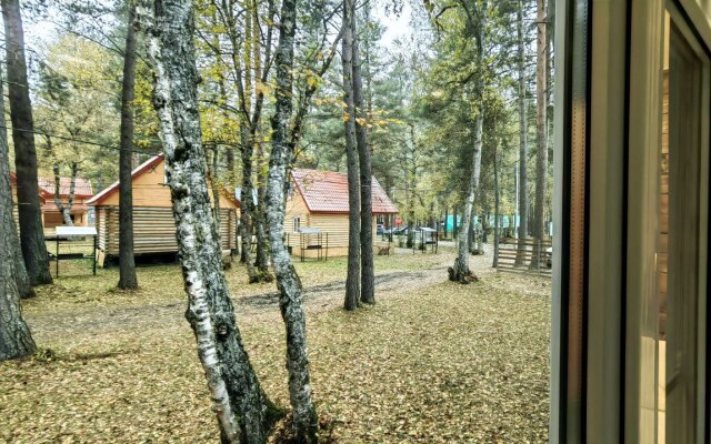 Arhyzh Forest Eco Recreation camp