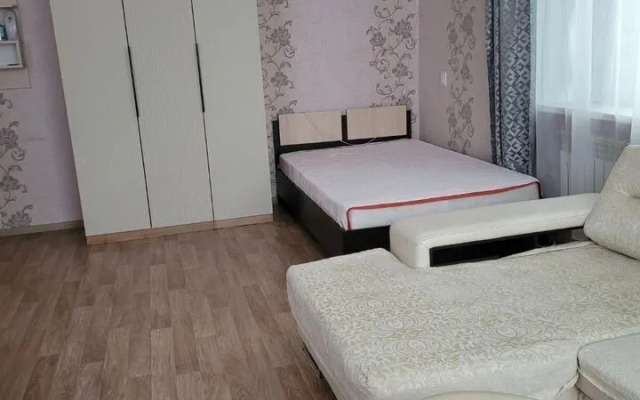 Na Prospekte Lenina 17 Apartments