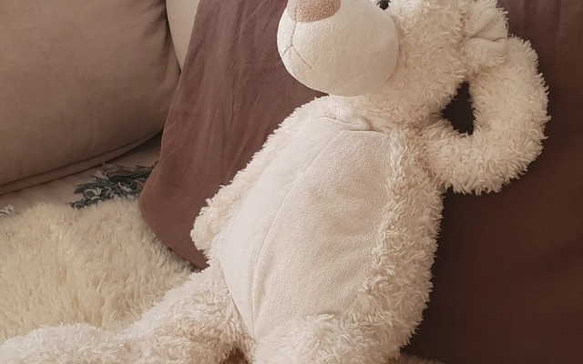 Квартира Уютная Двушка с Медведем и Комфортом