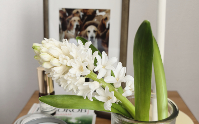 Квартира Просторная рядом с парком