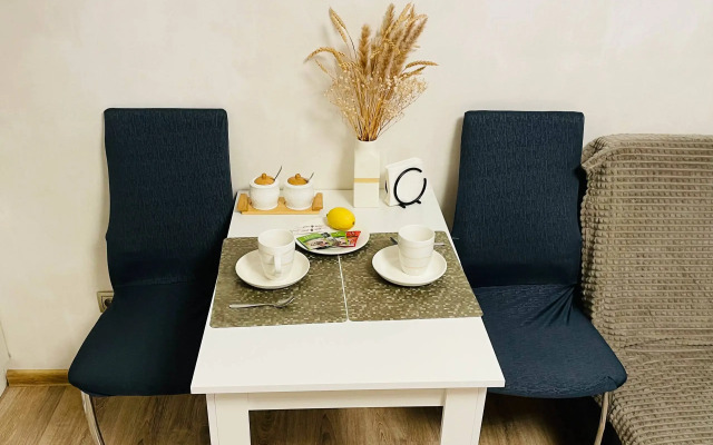 Квартира Уютная студия в п.Шушары, Вишерская 2