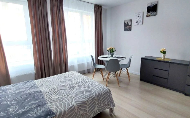 Квартира Уютная студия в Академическом