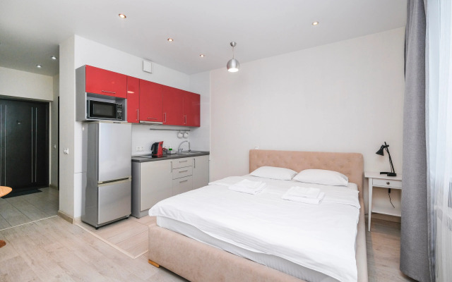 Апартаменты Домант Романова 60/1 (4)