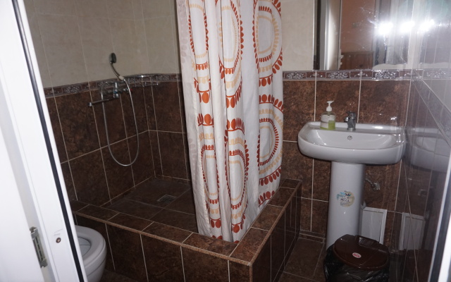 Zelenye Fonariki Guest House