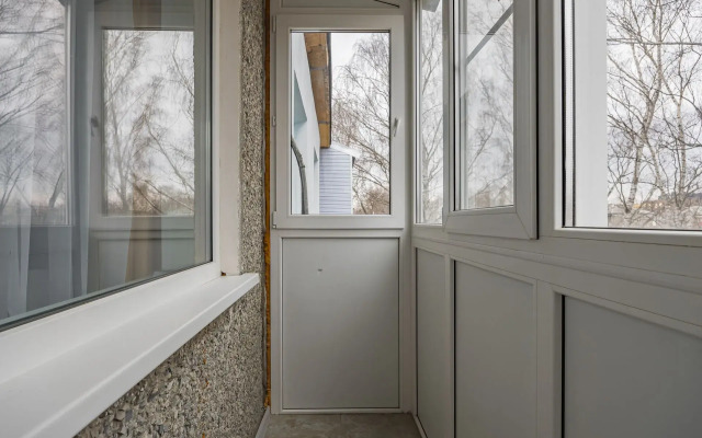 2-Kh Komnatnaya v Tsentre Sormovo Flat