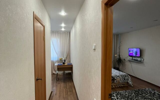 Апартаменты 1-комнатные с видом на Волгу (Бухта)