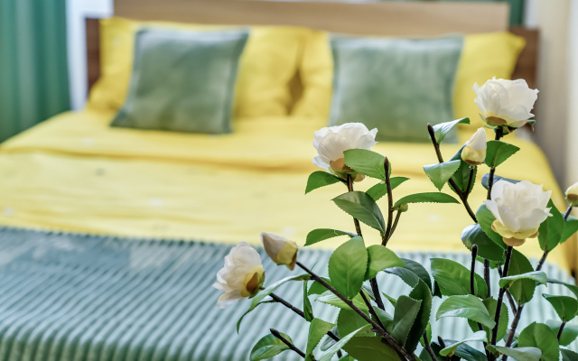 Odnushka S Myatnym Namekom Apartments