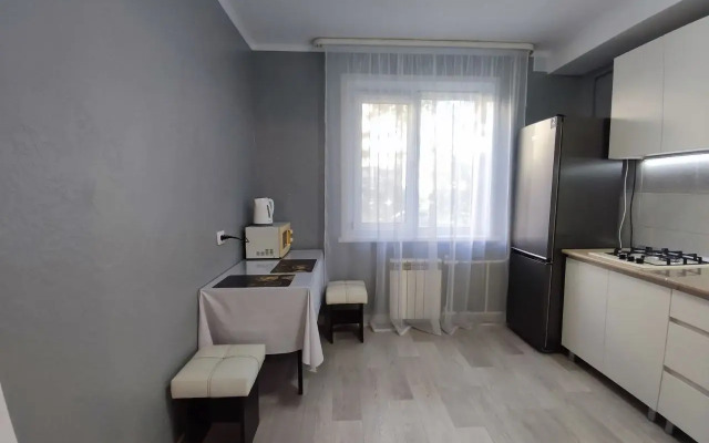 Na Vasnetsova Apartments