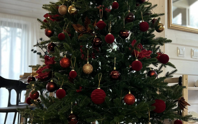 Частный дом Уютный дом в окружении леса