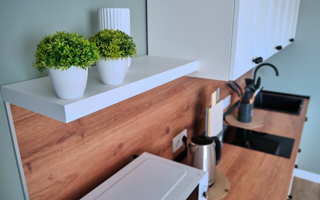 Апартаменты Eco studio