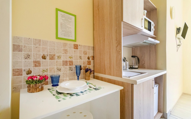 Апартаменты в ЖК Царская Площадь 383-2