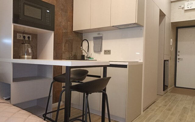 Priyatnaya Studiya U Metro Pushkinskaya Flat
