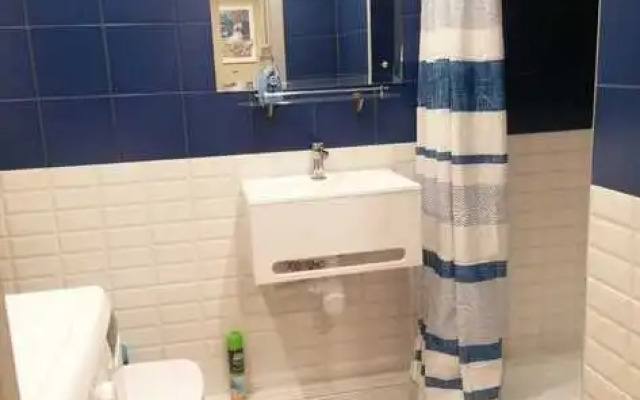 Апартаменты Шереметьевская