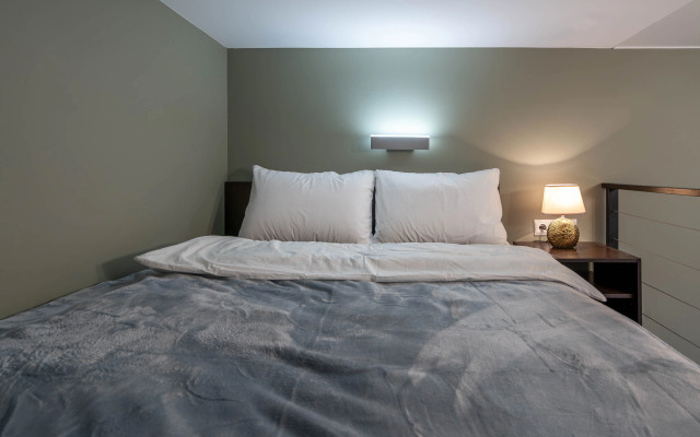 Studiya V Tsentre Peterburga Flat
