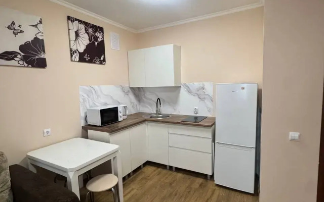Vam Rady Na Voronkova Apartments