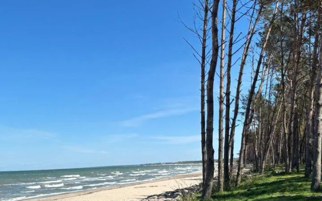 Апартаменты 39квартир с бесплатной арендой велосипедов