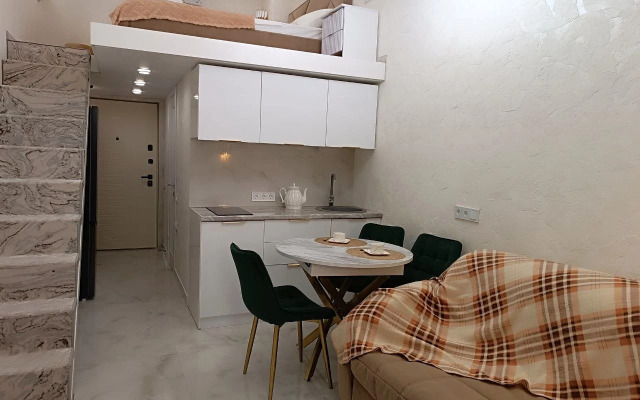Dvukhurovnevaya Studiya V Skyplaza Apartments