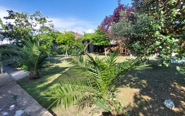 Kemal Private House