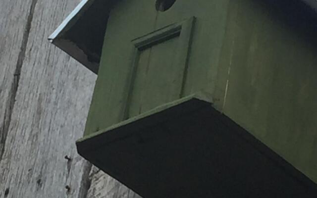 Apple Tree Guest House