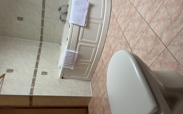 V Andreevke Guest house