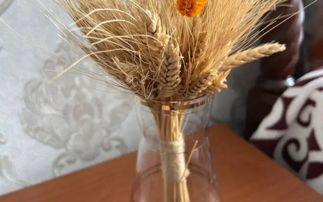 Частный дом Дом в пригороде Плёса