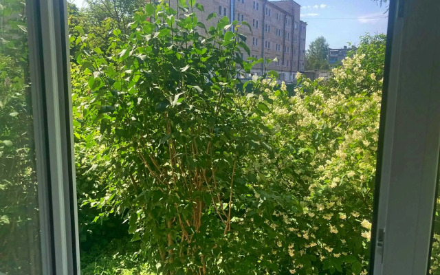 Tikhaya V Tsentre Kurortnogo Goroda Flat