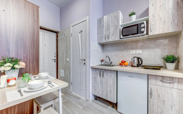 Апартаменты на Старорусской рядом с Московским вокзалом (СР3)