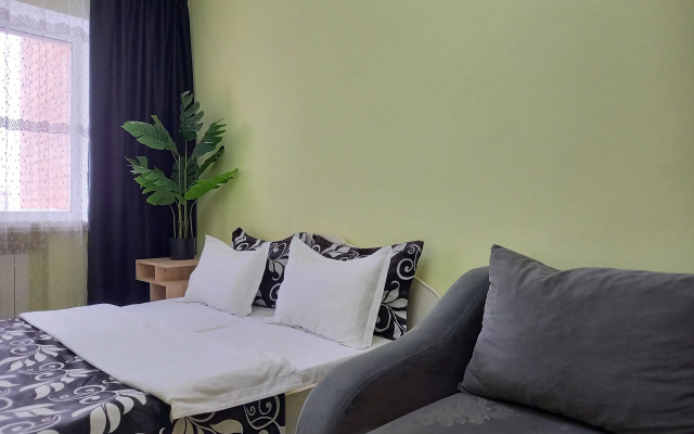 Tsentr Gostepriimstva Flat
