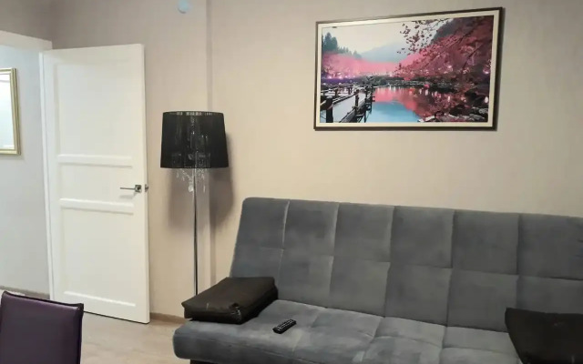 Studiya Na Raskolnikova 48/1 Apartments