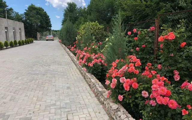 Частный дом уютный деревянный с красивым видом